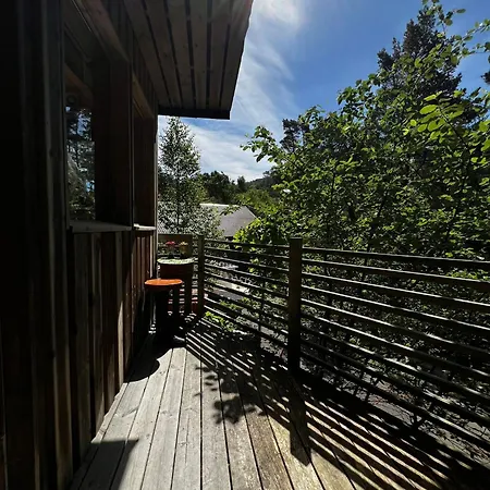 On The Edge & In The Bushes Apartment *
